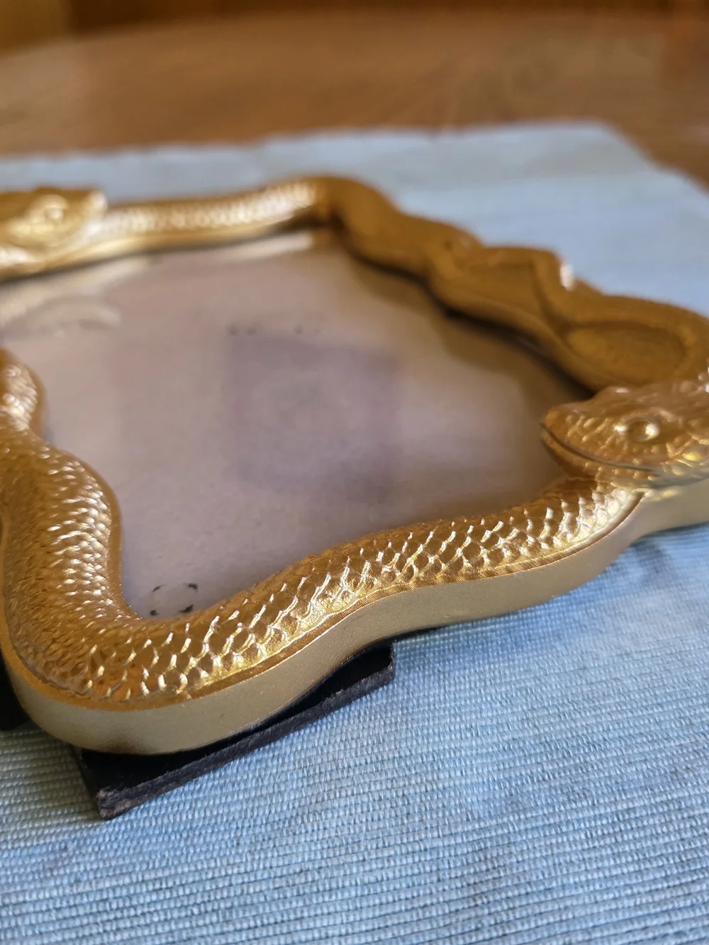 Max Studio Home GOLD SNAKE Frame 5x7 Photo